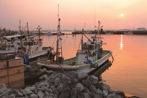 三陸復興國立公園重視區域內里山與里海傳統產業／陳怡珊攝